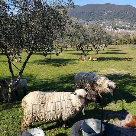 Studio En Campagne Dans Une Ferme Bio Apartamento Nyons Exterior foto